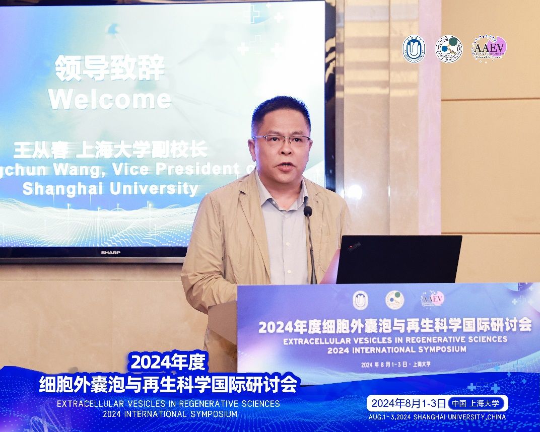 8B87FEDAA1E1052076A453CE1BC_36D4E0CD_250EB