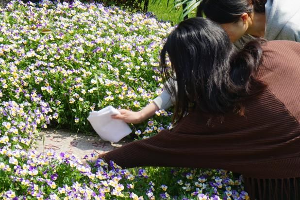 04F8D6AFCD428FA246EC1744D83_24D5D1B3_131CA