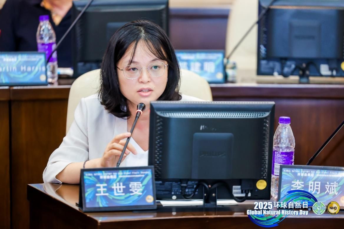 5088125AEE2B7BFF3C3532BDB4D_7D9C04CA_1A57E