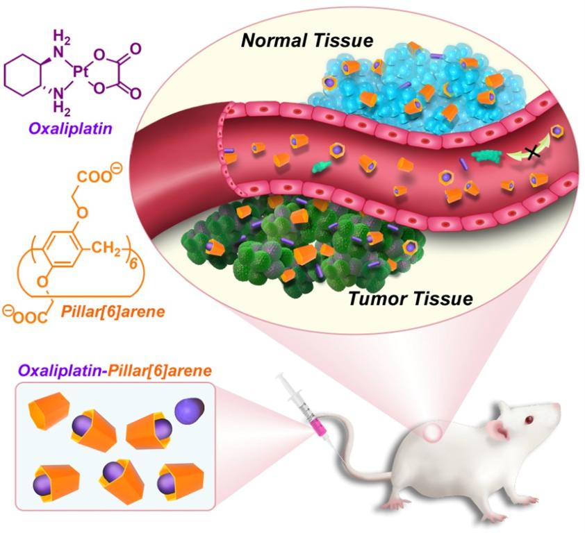 九游·会(J9.com)集团官网 - 真人游戏第一品牌[首页]