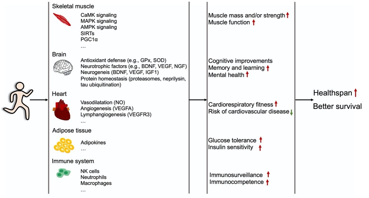 4E49CAA479683CCE2C0F1CD1B15_F3A4D958_15AC0