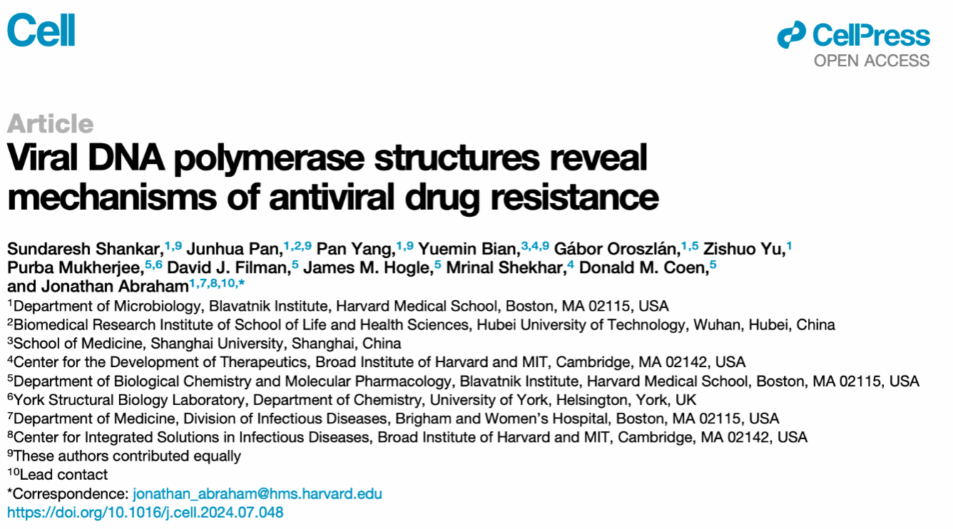 64BA12DA8403032964EDEAC75DD_098C3B3C_224F1