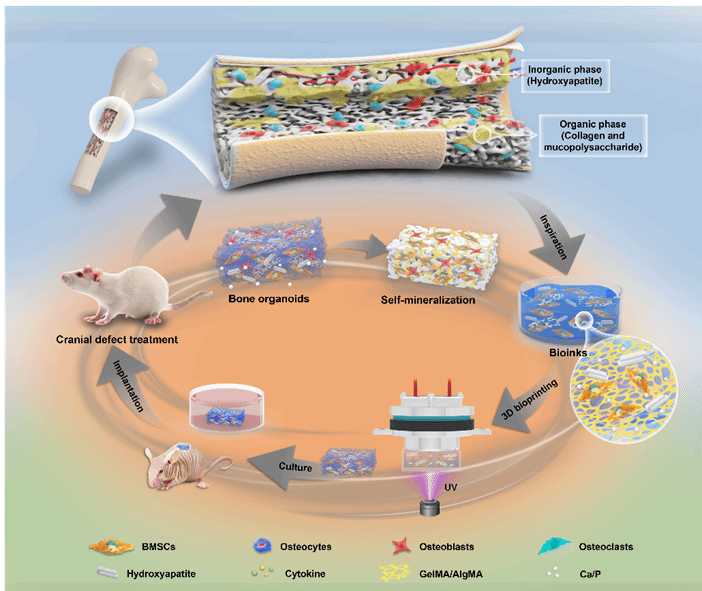 九游·会(J9.com)集团官网 - 真人游戏第一品牌[首页]