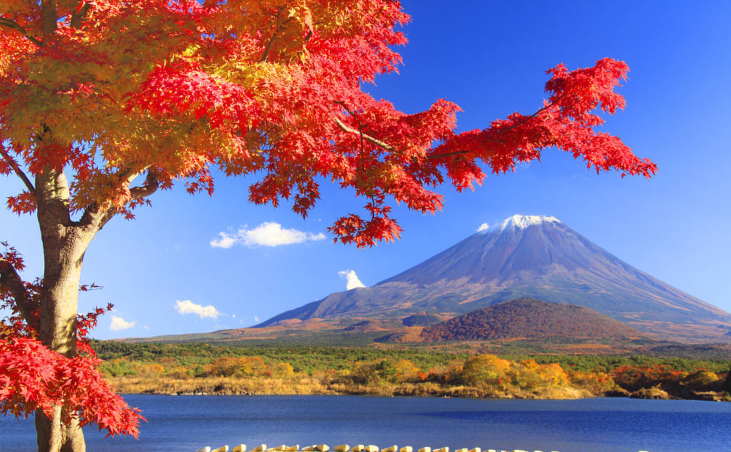 九游·会(J9.com)集团官网 - 真人游戏第一品牌[首页]