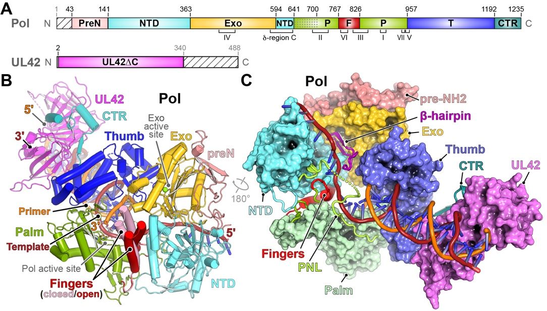 26AC7D56F39820897697FBDF20D_5287AEE5_257D5