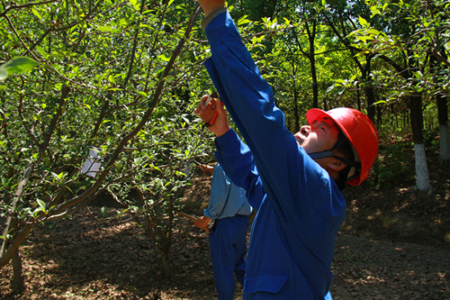 九游·会(J9.com)集团官网 - 真人游戏第一品牌[首页]