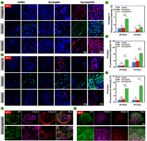 九游·会(J9.com)集团官网 - 真人游戏第一品牌[首页]