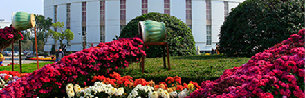 九游·会(J9.com)集团官网 - 真人游戏第一品牌[首页]