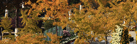 九游·会(J9.com)集团官网 - 真人游戏第一品牌[首页]