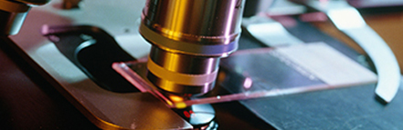 九游·会(J9.com)集团官网 - 真人游戏第一品牌[首页]